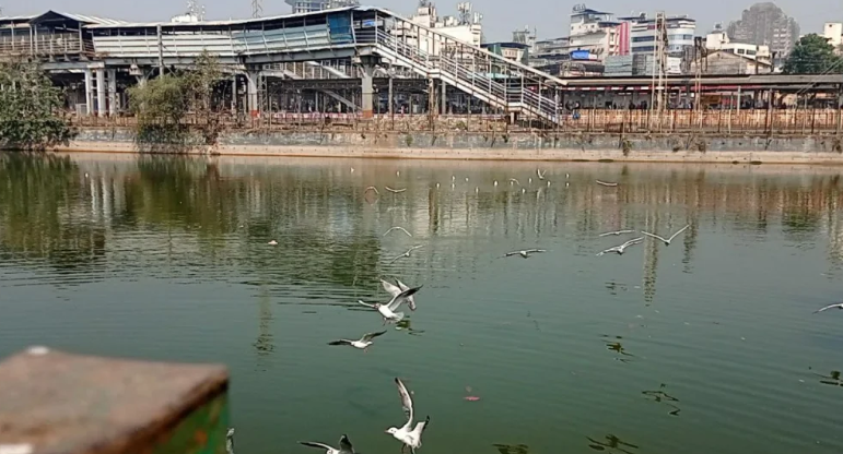 Hariyali Lake